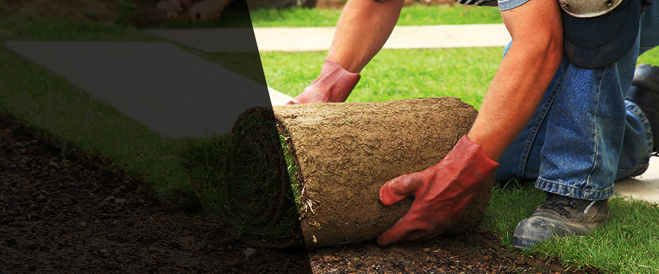 Winnsboro Landscapers